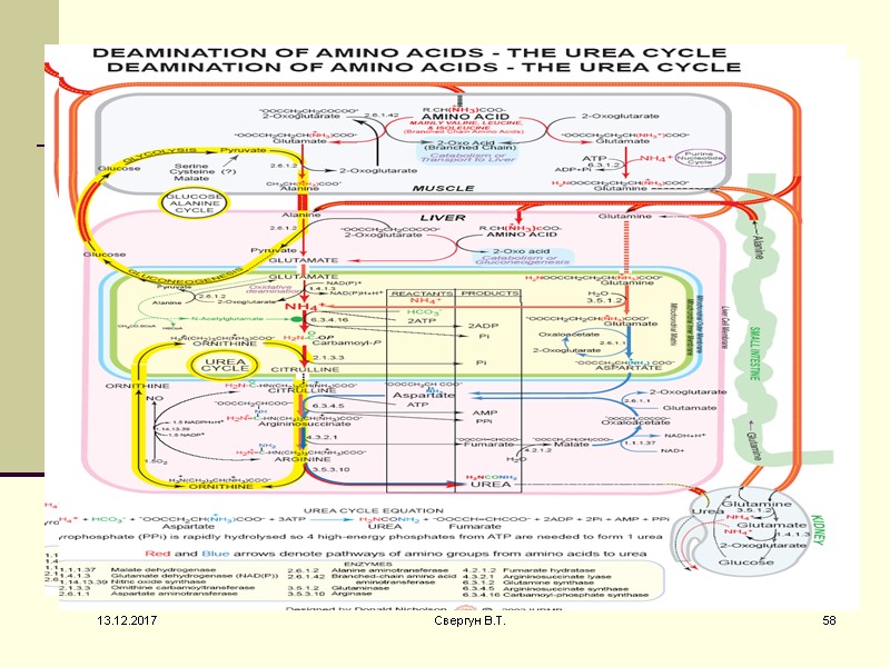 13.12.2017 58 Свергун В.Т.
